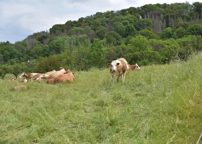 Abspanne アパート *