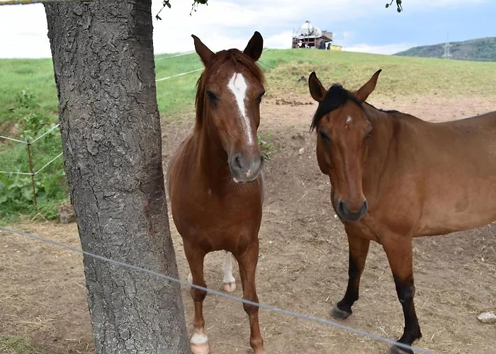 Abspanne * バート・ビーブラ
