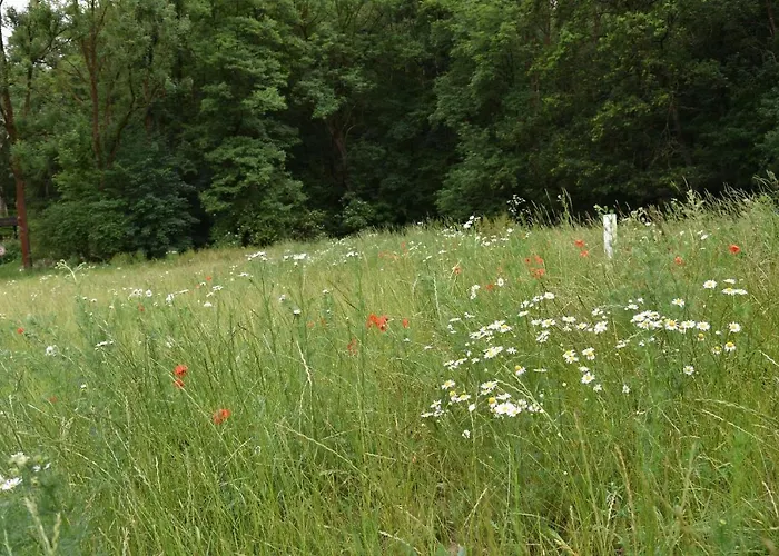 アパート Abspanne